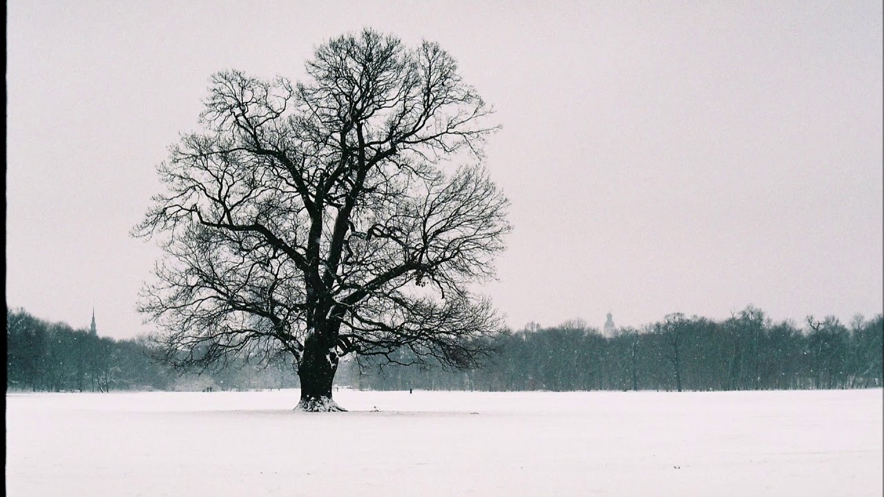 My Friend the Winter - Acoustic Black Metal Instrumental