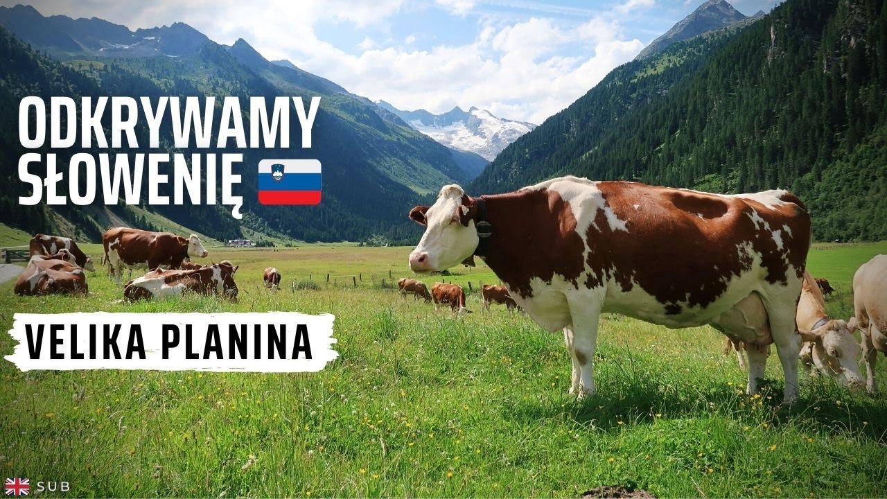 Velika Planina, Słowenia - Alpy Kamnickie 🌲 Bajeczna osada pasterska