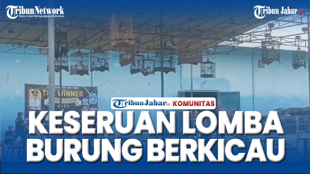 Komunitas Kicau Mania, Keseruan Lomba Burung Berkicau di Hari Jadi Lamongan ke-454