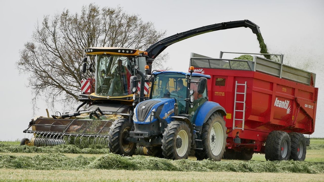 Ensilage du Ray-Grass Italien | Ensileuse New Holland FR 480