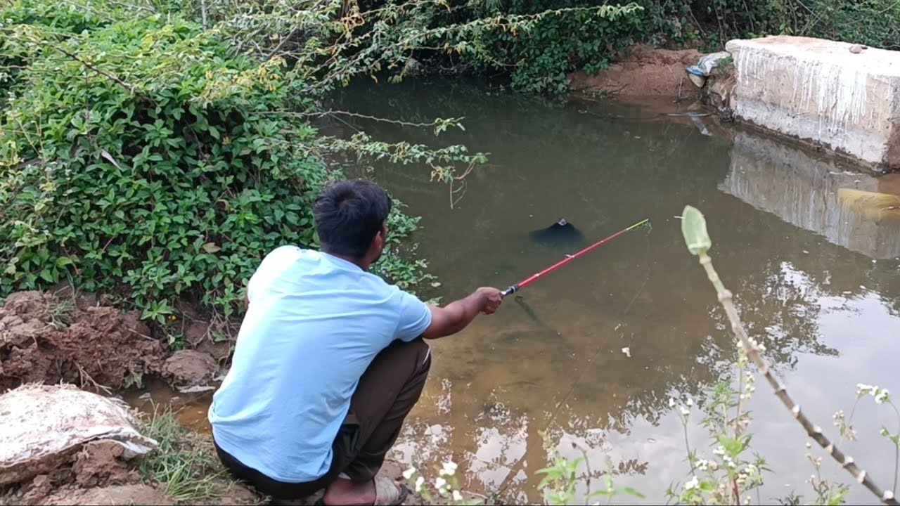 Fishing video 🙀| Alone Fisherman Catches Lots of Fish in One Day!  | hobby 2 catch | episode-18