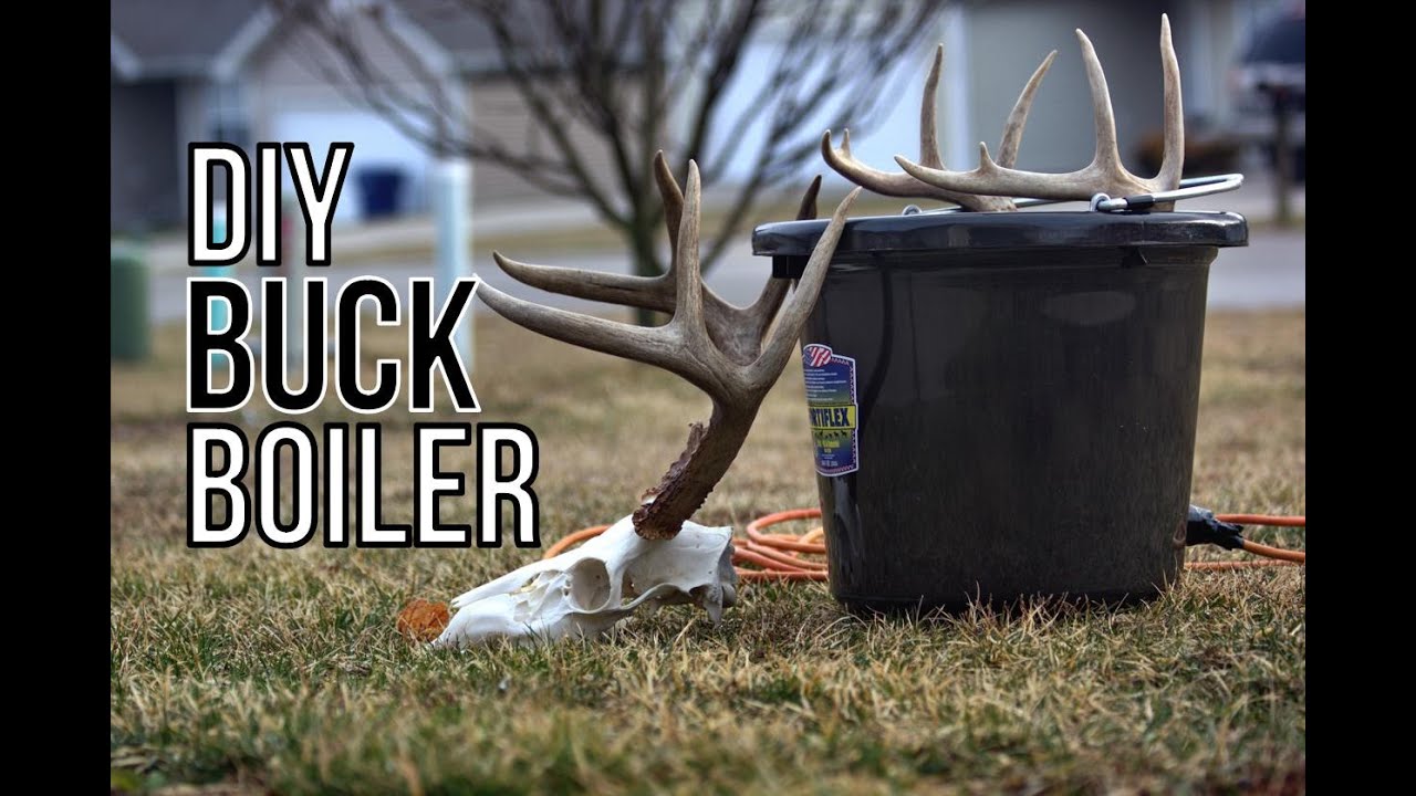 Buck Boiler Build DIY For Euro Mounts ($28 Bucks!!)