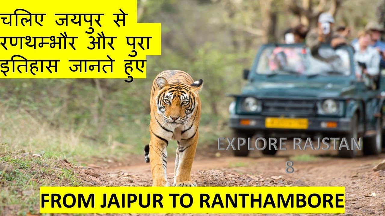 Jaipur to Ranthambore: Thrilling Road Trip to India's Famous Tiger Reserve, City to Safari Adventure