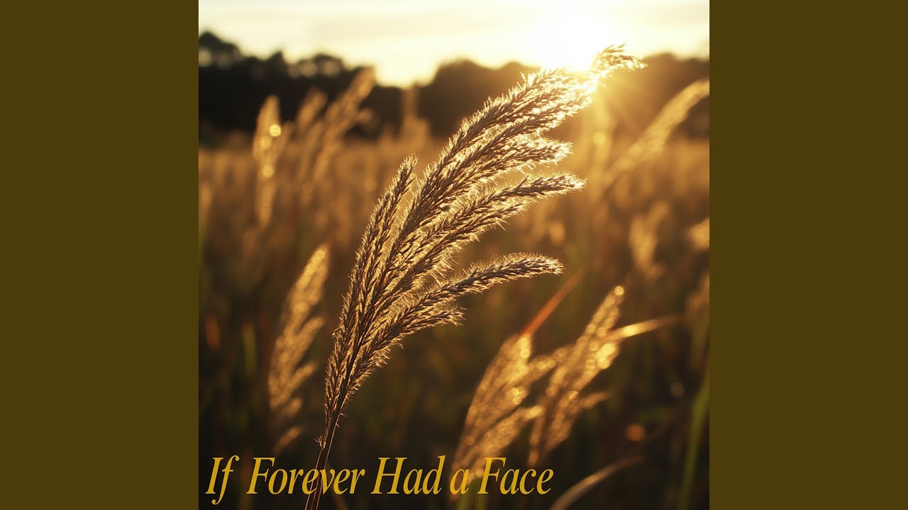 If Forever Had a Face