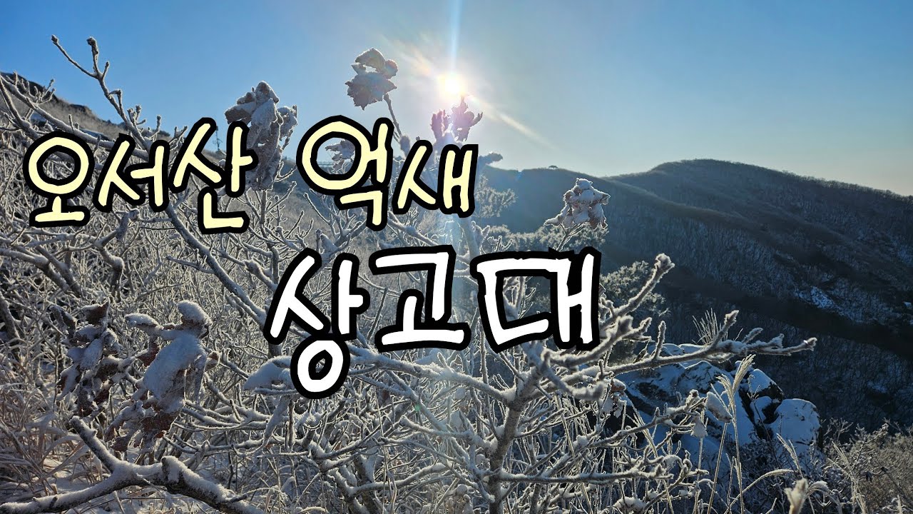 #충남홍성 오서산억새 상고대 #일년에 한두번피는 오서산상고대 #상담~정상~휴양림