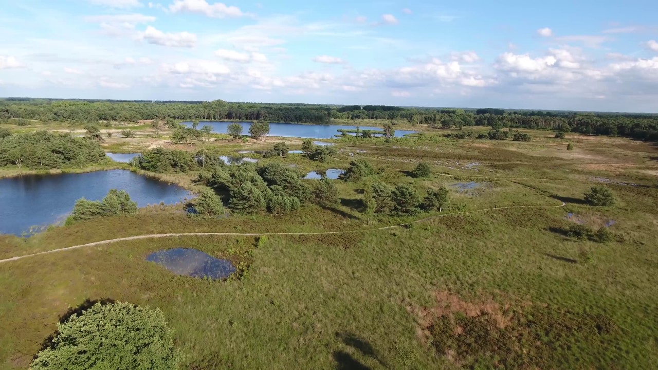 de Malpie Valkenswaard