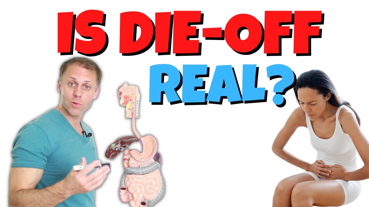 Is Die Off a Real Thing | The Herxheimer Reaction