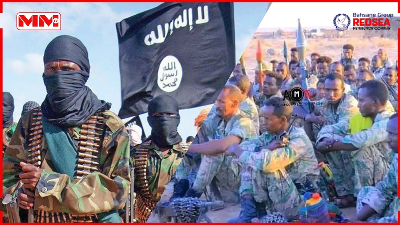 Xaalada Dagaalka Deegaanka Soomaalida ee u dhaxeya Al shabab iyo Liyuu Boolis.