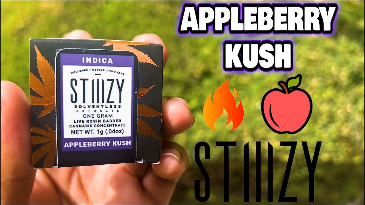 This APPLEBERRY KUSH Had Me STONED AF!!! STIIIZY Live Rosin Badder Review!
