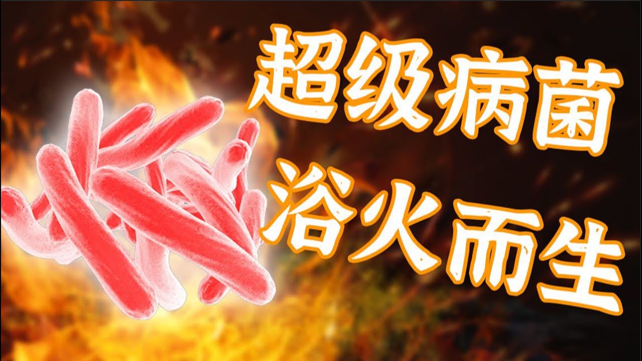 【鬼谷闲谈】火带来的超级病菌？