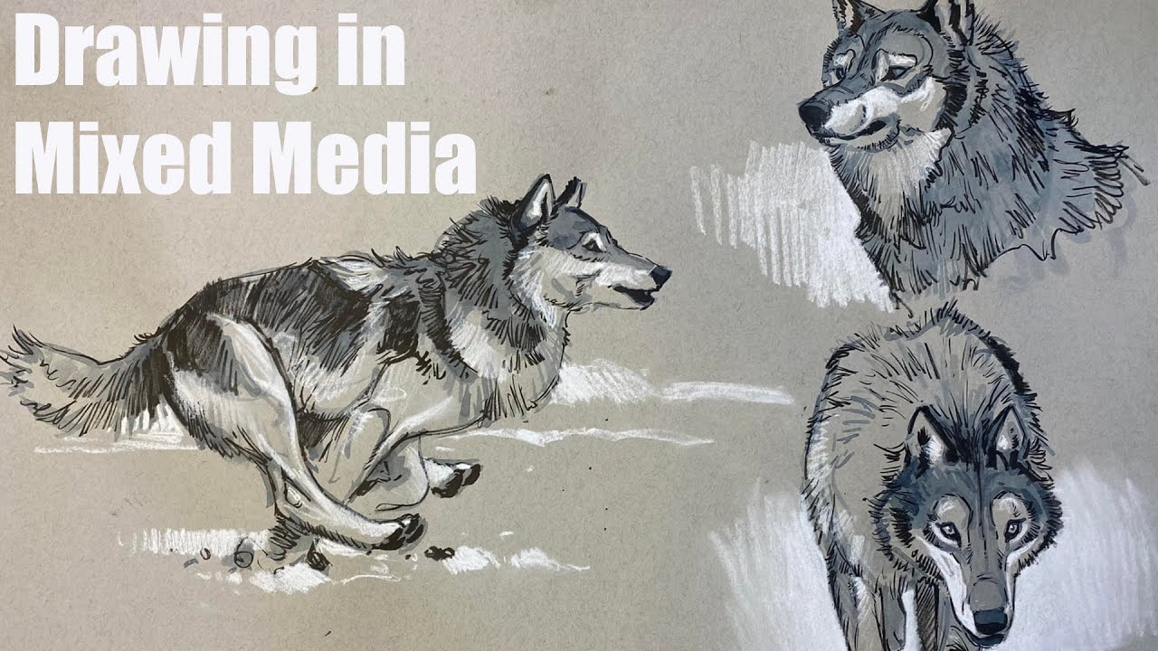 LIVE STREAM: Multimedia Animal Drawing
