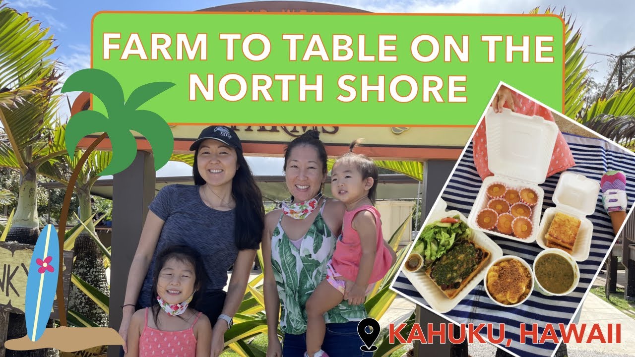 LOCAL HAWAII FARM OF 4 GENERATIONS & Behind The Scenes Farm Tour 