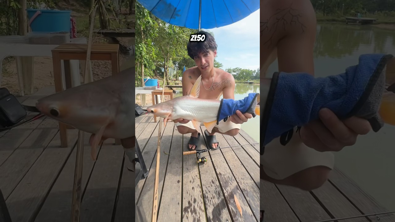 Komercja za 50 zł w Tajlandii?!🫣