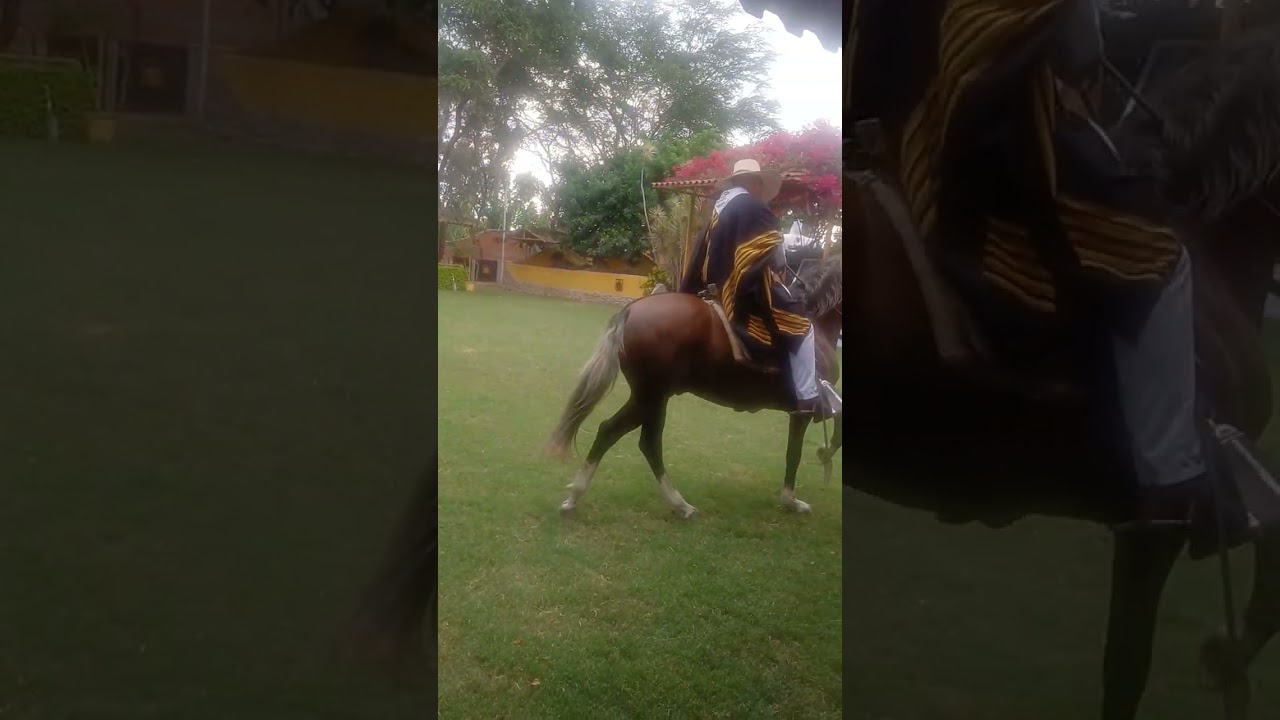 Sipan chiclayo norte del peru