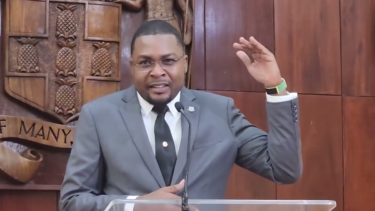 Robert Morgan defends Juliet Holness on controversial 'Comrade' comments