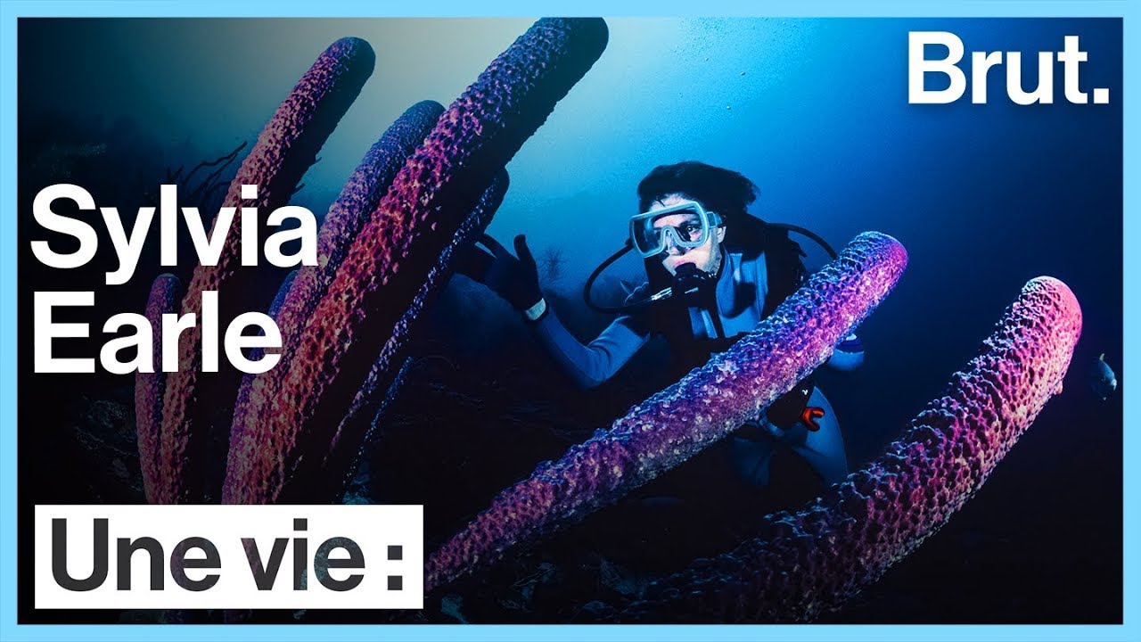 Une vie : Sylvia Earle