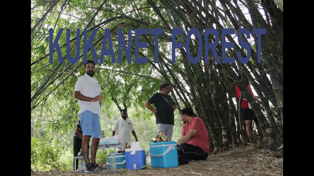Kukanet Forest Adventure | Kukanet Jungle | Dholbaha Dam | Kukanet Hoshiarpur