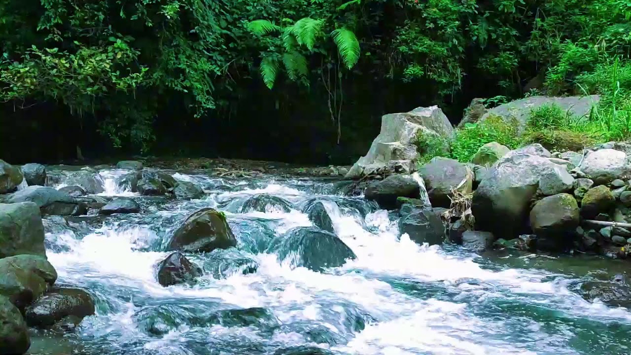 Mighty River Ambience  10 Hours Natural White Noise for Deep Rest