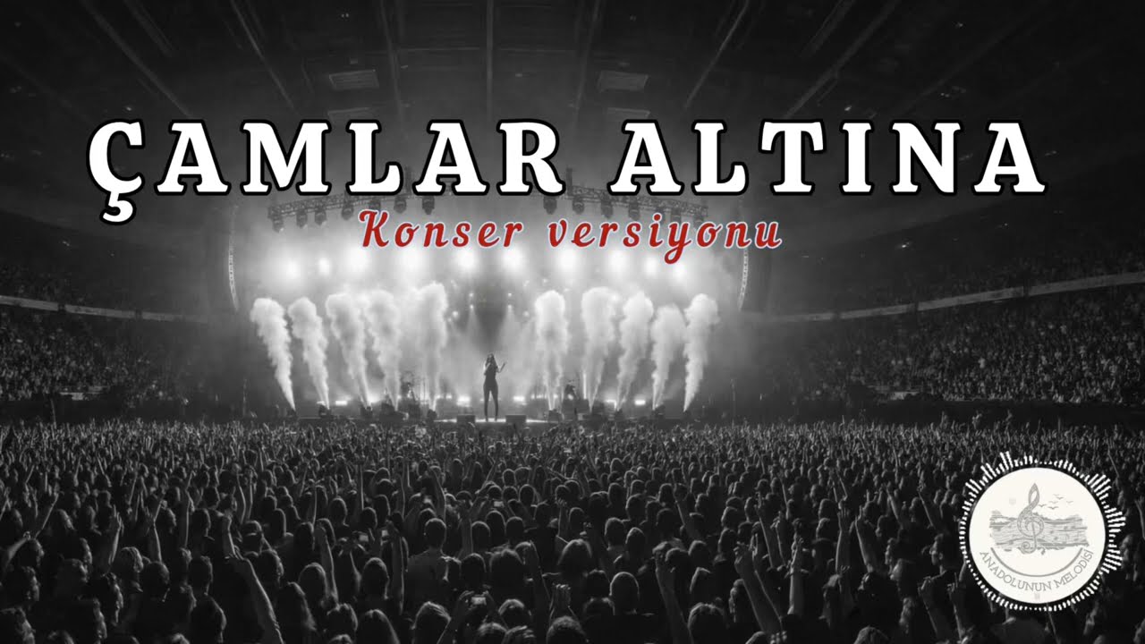 Çamlar Altına