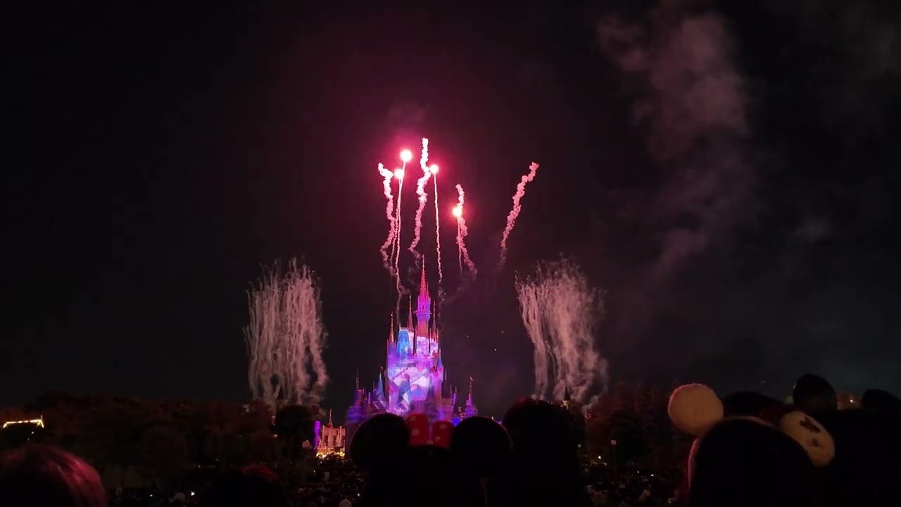 Tokyo Disneyland Fireworks - November 2025 | Shot with DJI Osmo Pocket 3