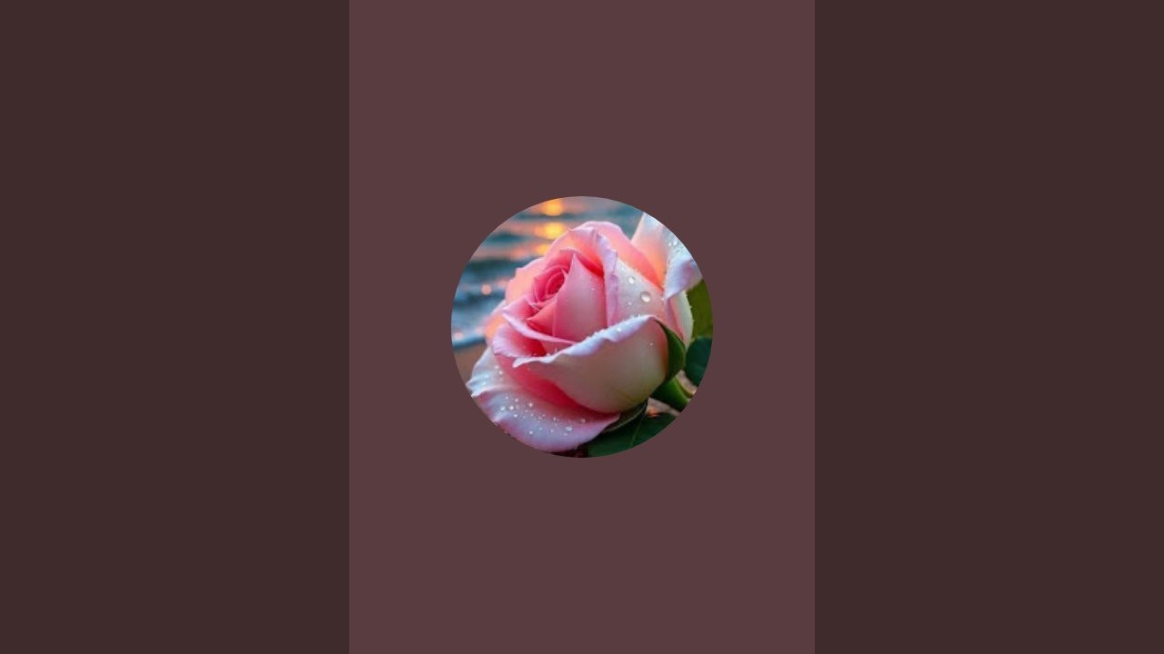 Dhanu is live ഓടി  ചാടി വരു 🏃‍♀️🏃‍♀️🥰🥰🥰🥰