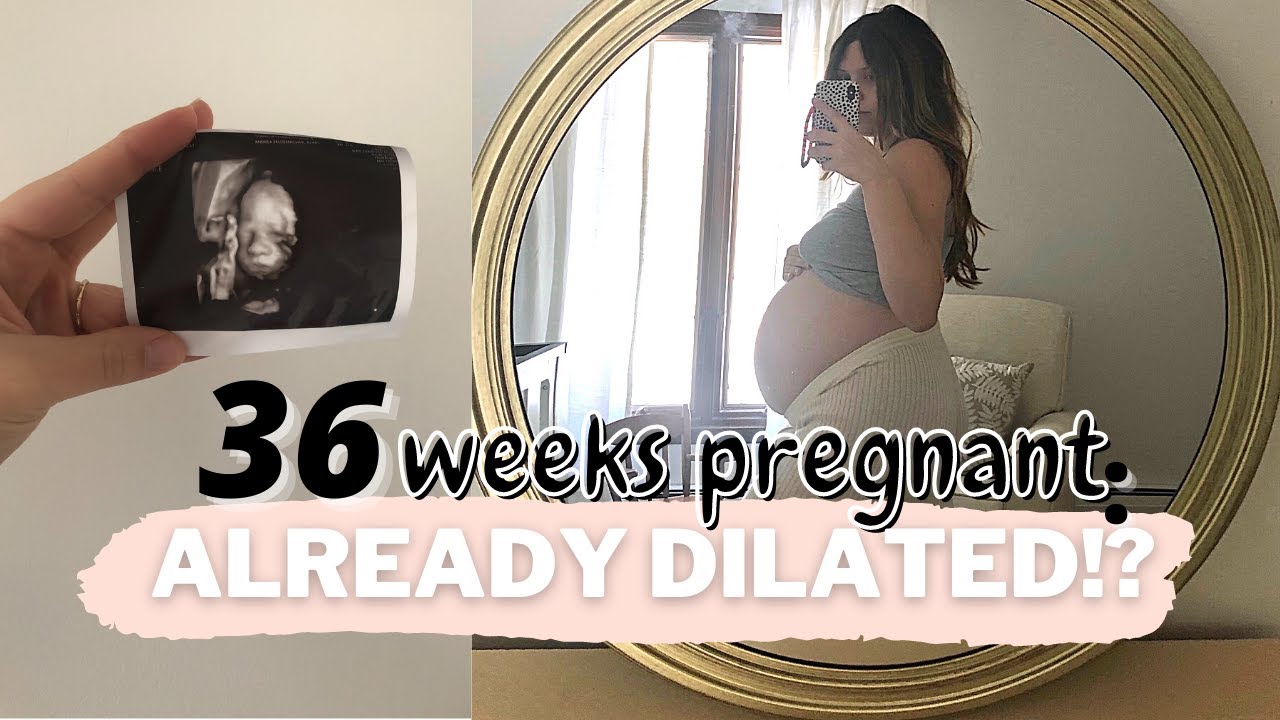 THIRD TRIMESTER PREGNANCY UPDATE: 36 Weeks Pregnant & Already Dilated! | Faith Drew