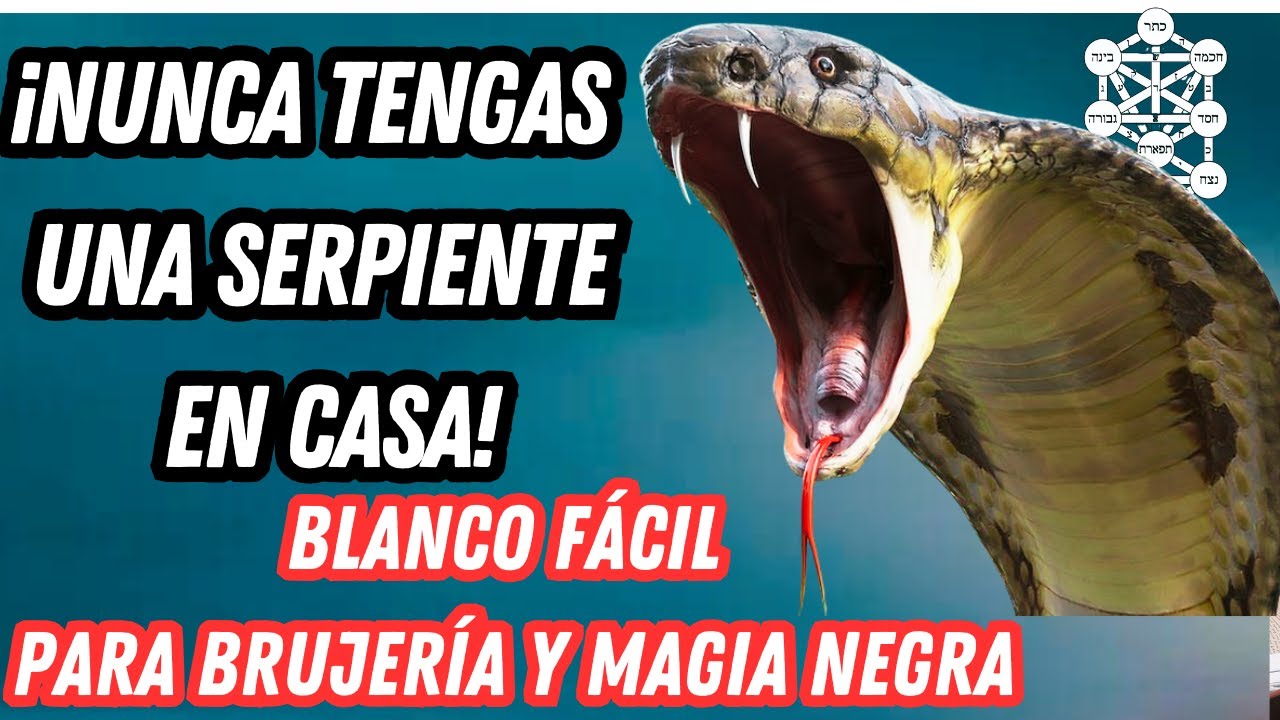 &iexcl;Nunca tengas una Serpiente en casa! Blanco f&aacute;cil para el demonio, la brujer&iacute;a y magia negra