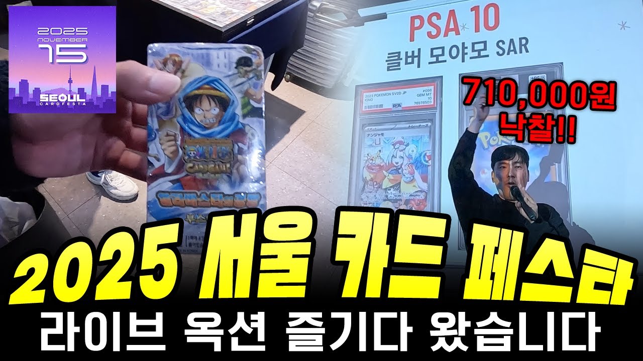 카드쇼 경매에서 원피스 고대 박스 사왔습니다 - 2025 서울 카드 페스타 2편 (라이브 옥션)