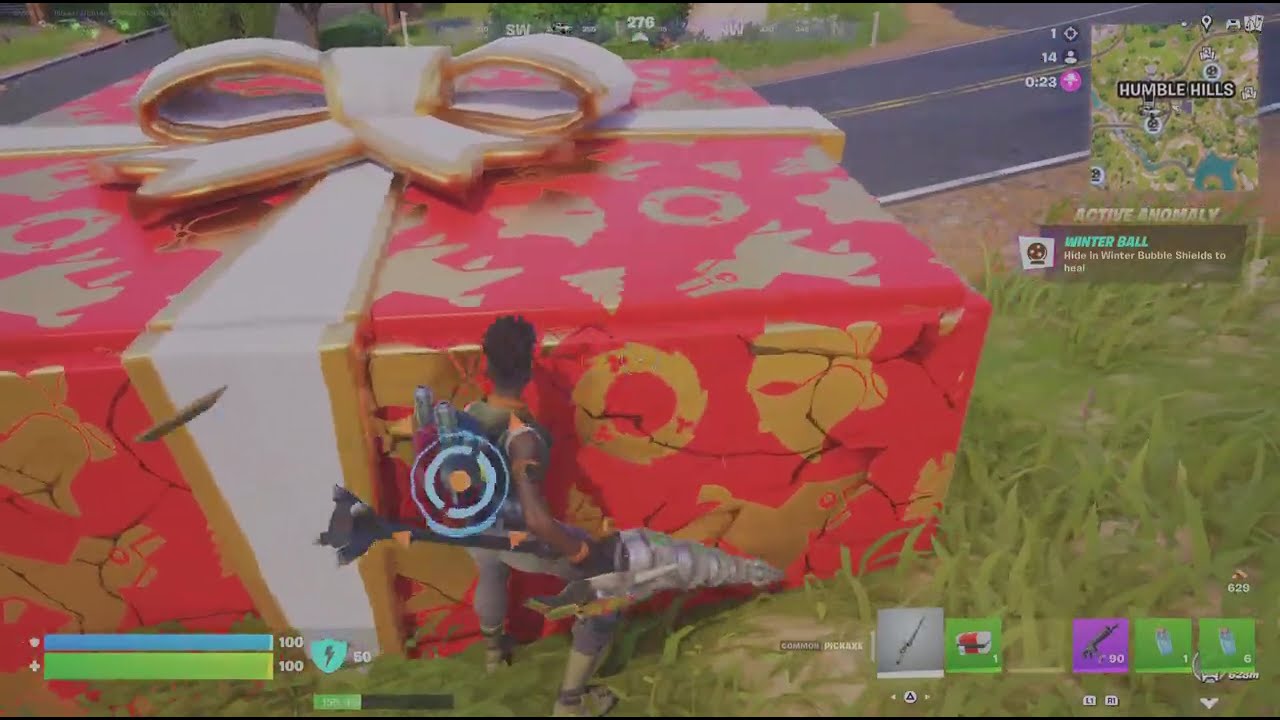 Fortnite Z Build Holiday Present