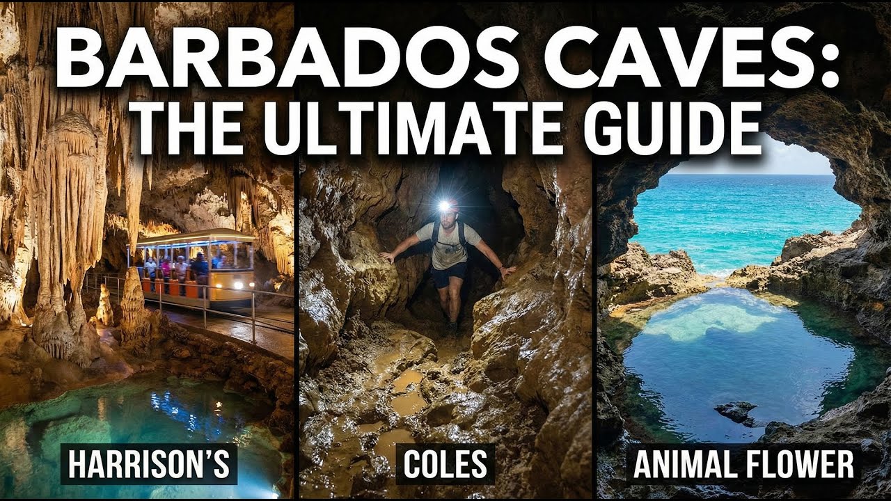 #Barbados #Caves: #Harrison's, Coles & Animal Flower Cave
