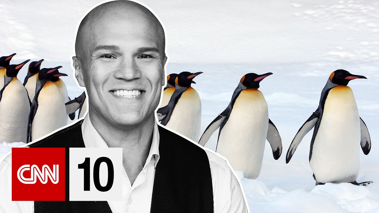 Low sea ice threatens Antarctica's penguins | April 30, 2024