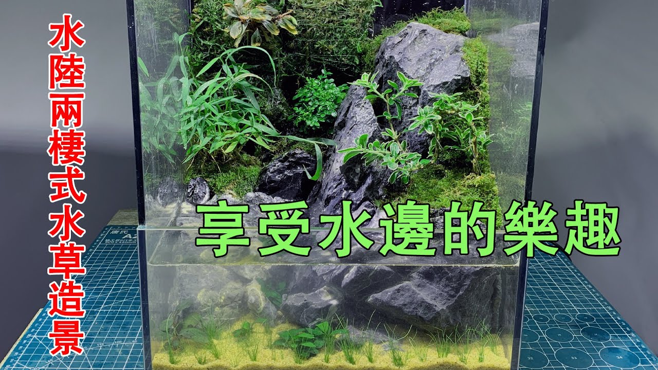 製作一個水陸兩棲熱帶雨林式水草造景，讓您享受水邊的樂趣|Make an amphibious tropical rain grass landscape.System TERRA30