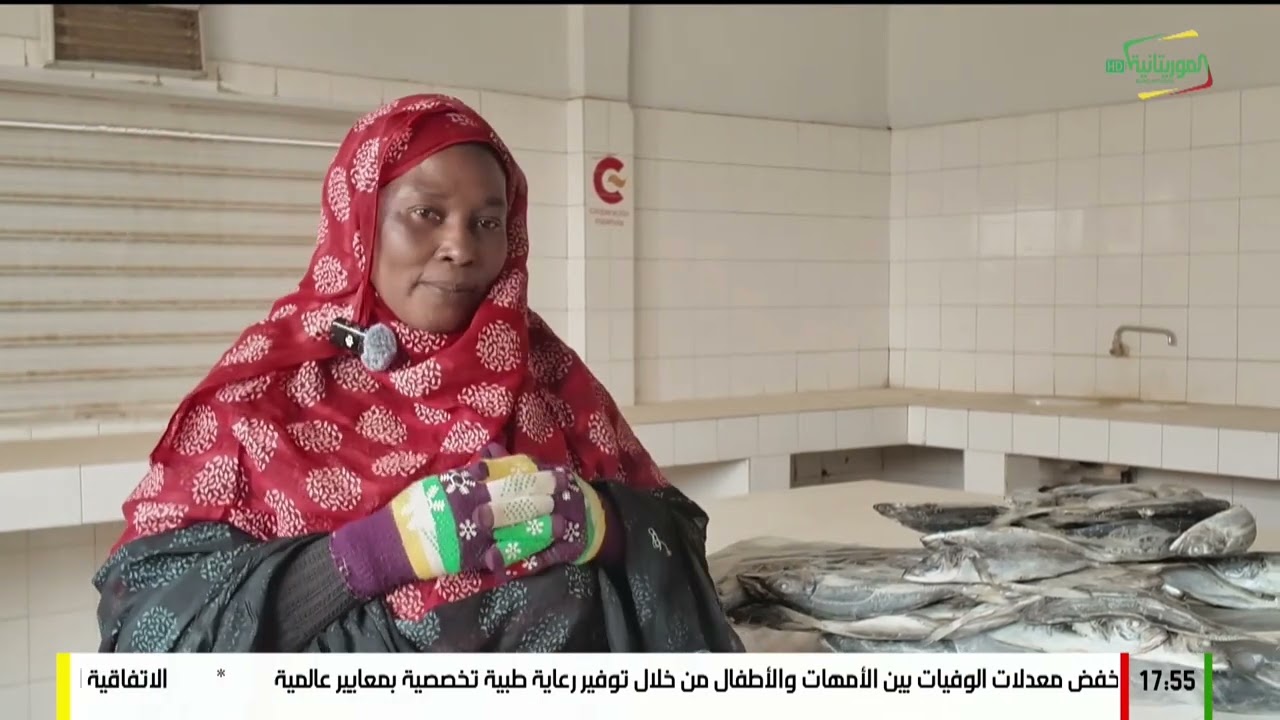 توزيع الأسماك بكيفه #محمد زمزام