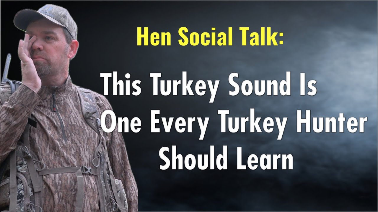 This Turkey Social Talk Is A Must For Turkey Hunters To Learn