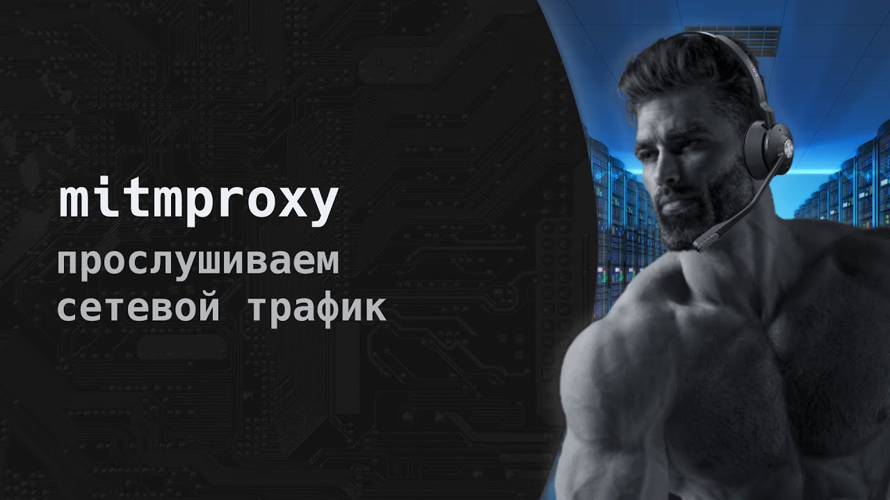 Ультимативное введение в mitmproxy