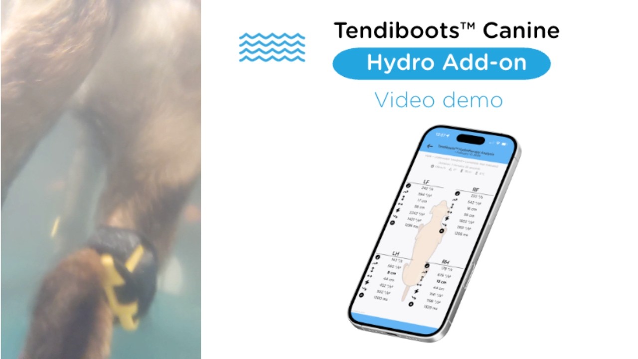 🇬🇧 Tendiboots™ Canine Hydro Add on