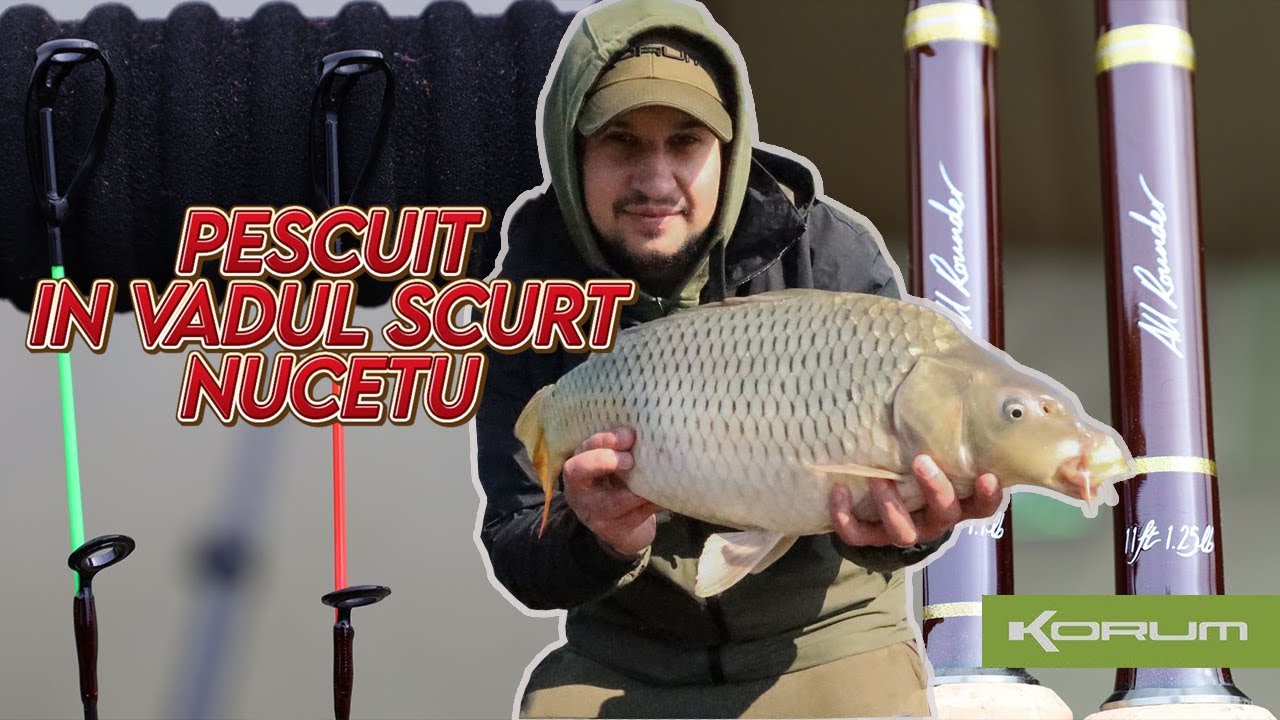 Pescuit in vadul scurt - Nucetu