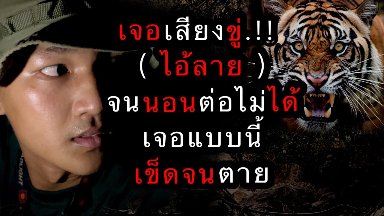 สำรวจที่พักกลางดึก กลับเจอเสียงขู่ไอ้ลาย..!!  เจอแบบนี้เข็ดจนตาย ตอนที่ 139 (4K)