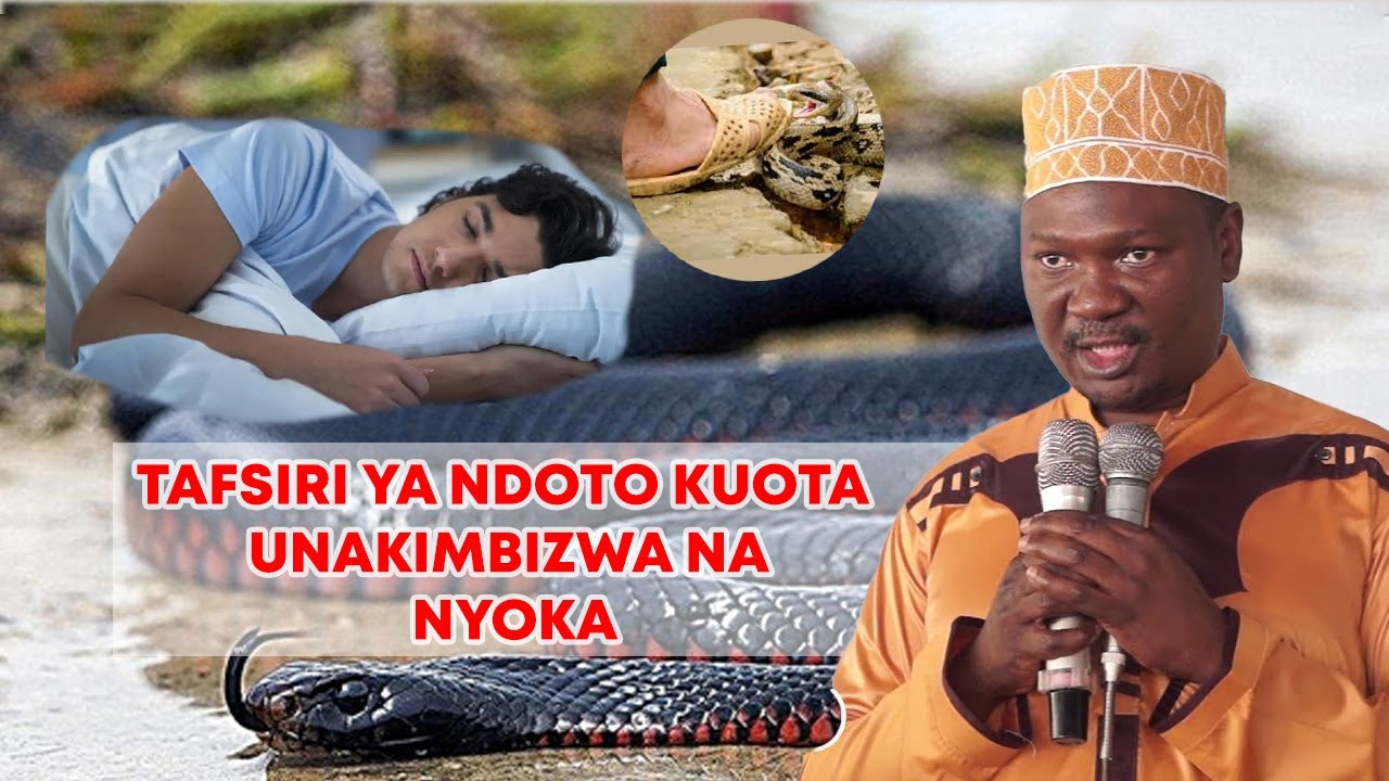 TAFSIRI YA NDOTO KUOTA UNAKIMBIZWA NA NYOKA AU UNAGONGWA NA NYOKA"SHK ABUU JADAWI.