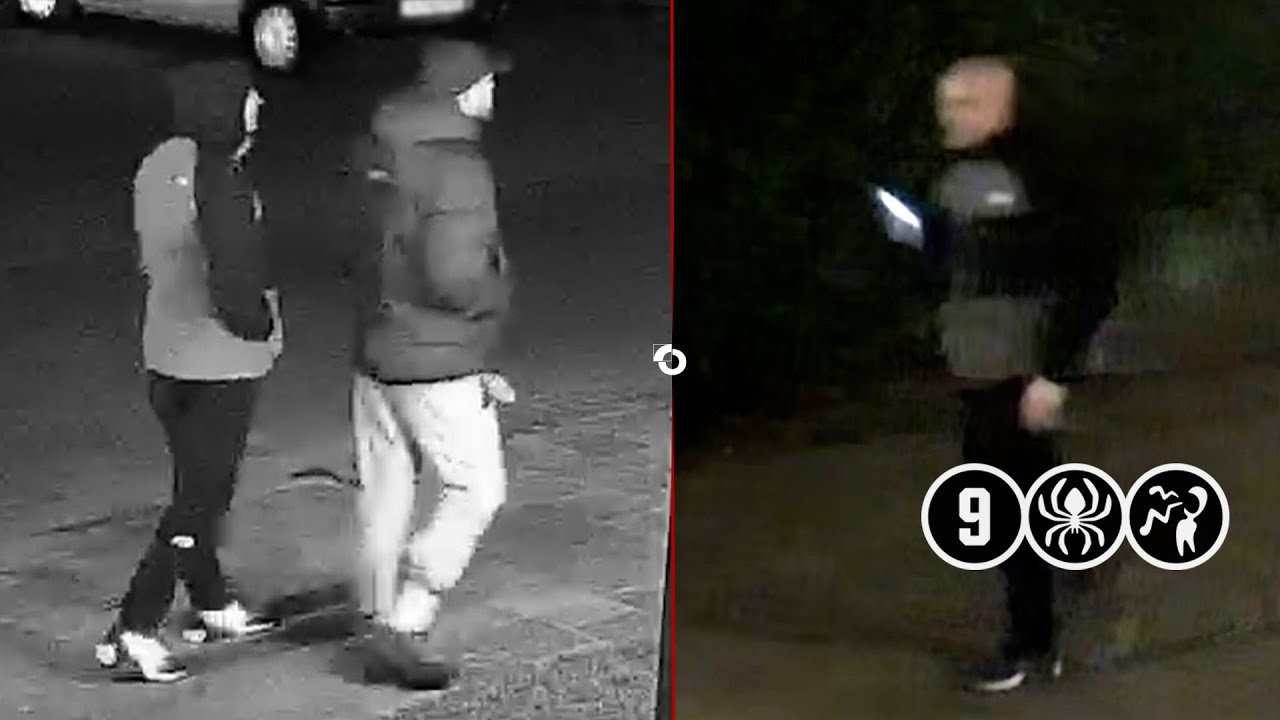 Man (33) neergestoken door straatrovers | Houten