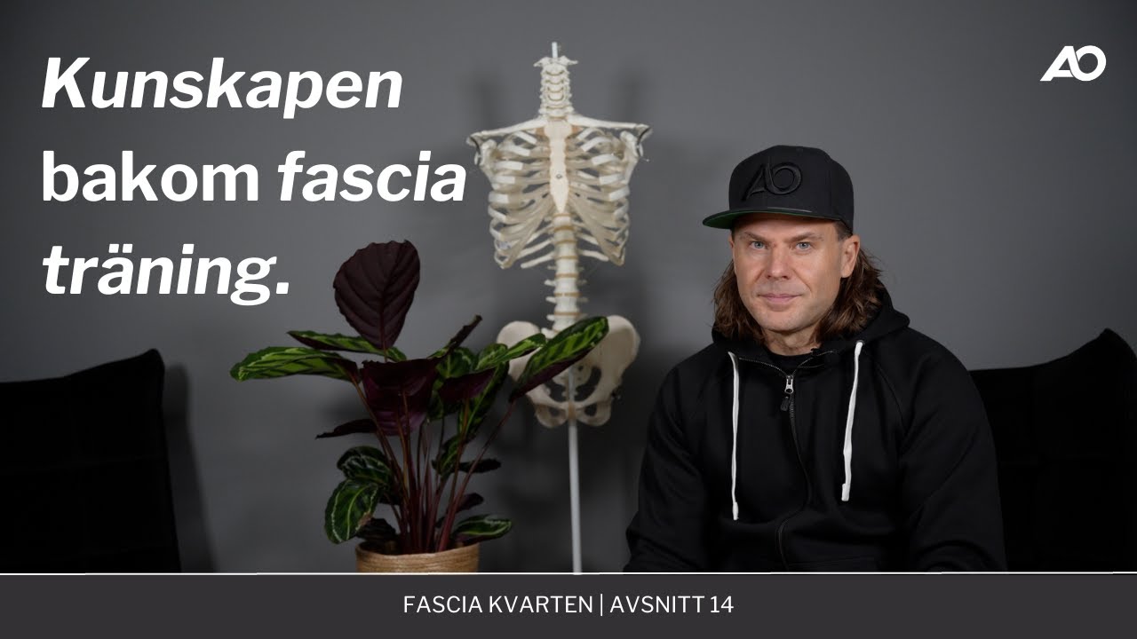 Fascia grunden till funktion och resultat | Fascia Kvarten AO Performance