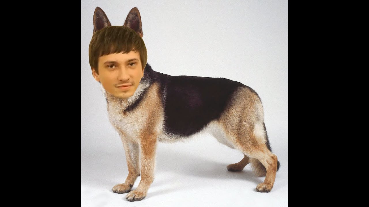 СОЛО, ТЫ СОБАКА! :D | Solo Dread XBOCT stream DOTA 2