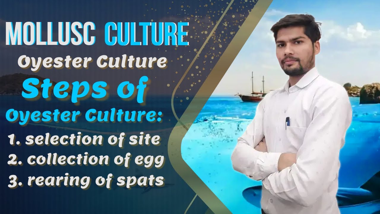 Mollusc culture || Oyester Culture || Valiger Larva and its Development #seniorsscience
