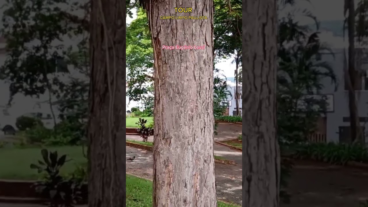 TOUR - CAMPO LIMPO PAULISTA - S&atilde;o Paulo - Brasil 🇧🇷  Inscreve - se , Deixa o link e compartilha.