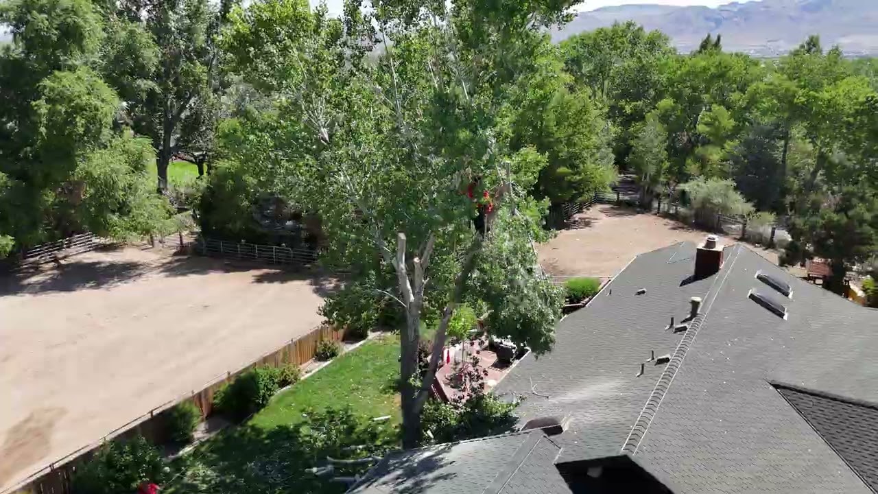 Drone Footage on a tree we took down. 100% did not damage the roof. 