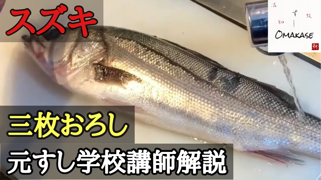 スズキのさばき方・三枚おろし・How to filet sea bass・元寿司学校講師解説・築地すしOmakase