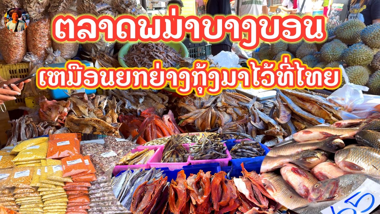  #ตลาดพม่าบางบอน #ตลาดพม่าในประเทศไทย #￼ตลาดเอกชัยบางบอน#เหมือนยกย่างกุ้ง￼มาไว้ที่ไทย#ลุงน้อยchannel