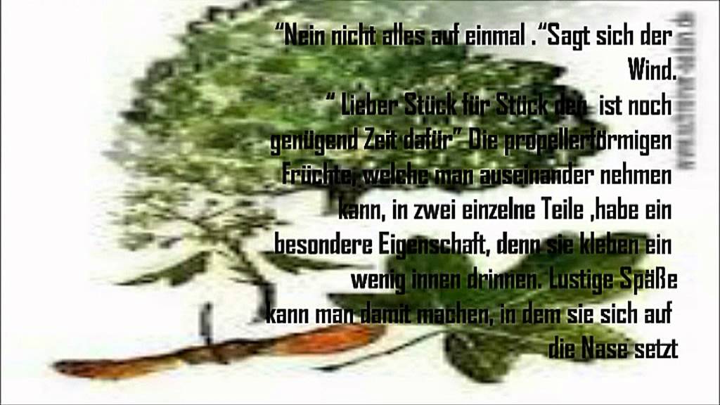 Meine vierzehnte Geschichte - Herbstbastelei
