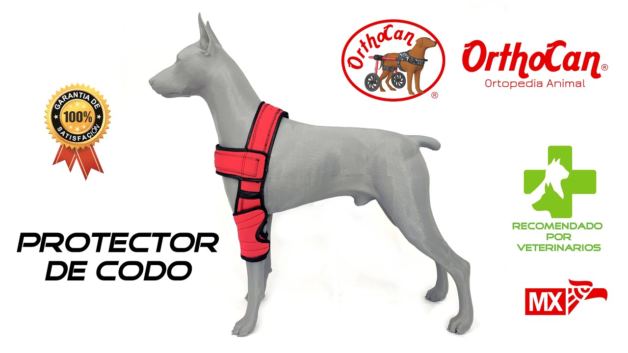 Protector de Codo OrthoCan ®