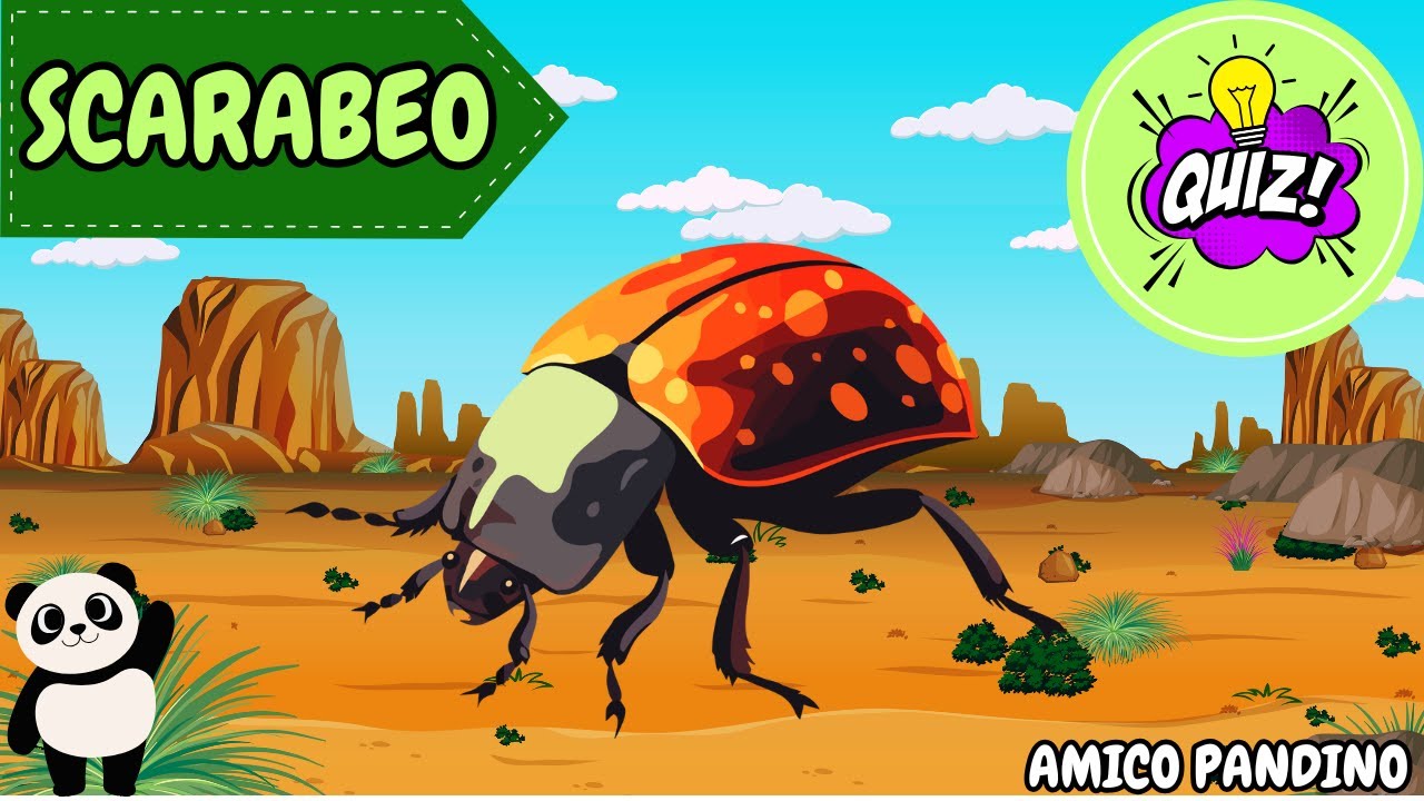 Animali per bambini video - LO SCARABEO - Impara gli animali con Pandino - quiz animali - INSETTI